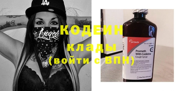 сатива Каменка
