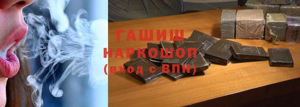 сатива Каменка