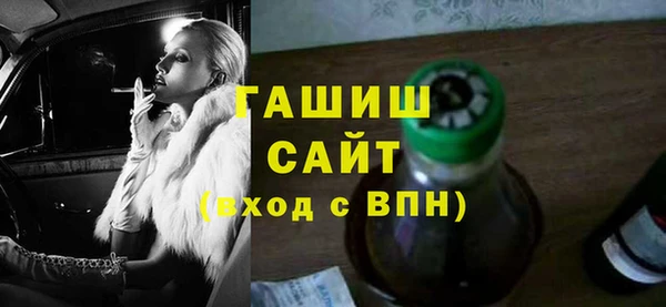 сатива Каменка