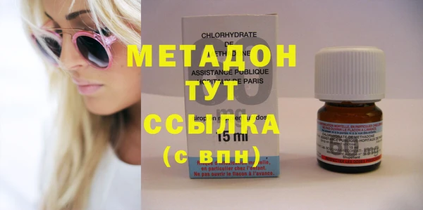 сатива Каменка