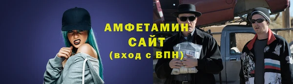 сатива Каменка