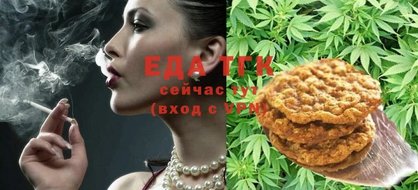 сатива Каменка