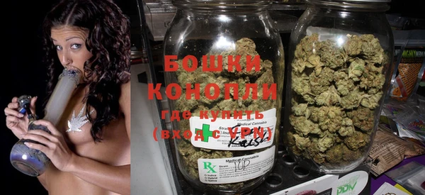 сатива Каменка