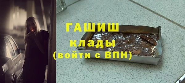 сатива Каменка