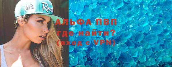 сатива Каменка