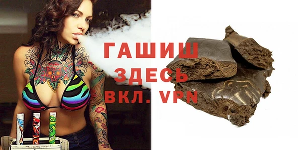 сатива Каменка