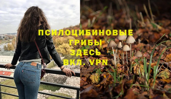 прущая мука Каменск-Шахтинский