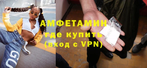 сатива Каменка